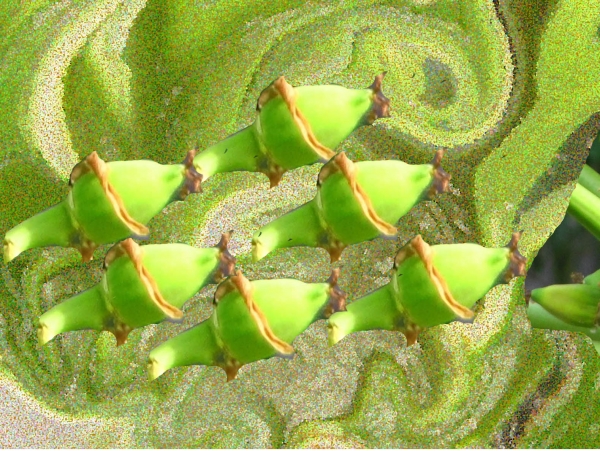 Creation of Butterfly Heaven: Step 5
